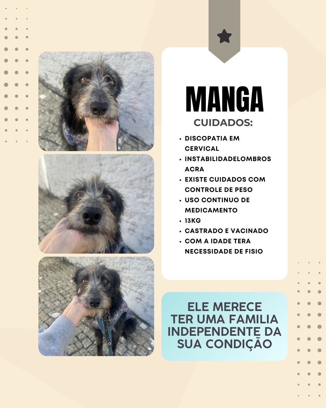 Cachorro Manga para adoção