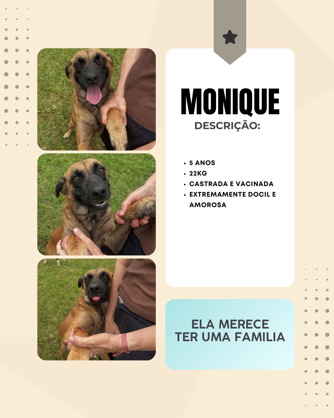 Cachorra Monique para adoção
